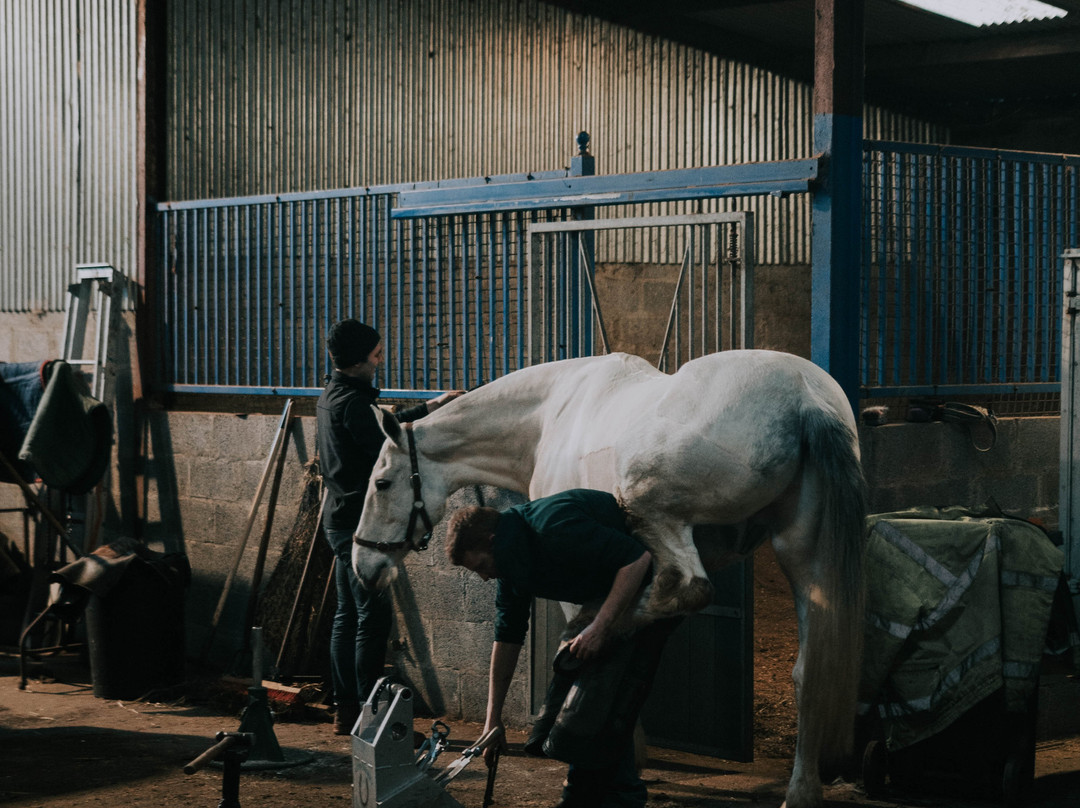 JT Equestrian景点图片