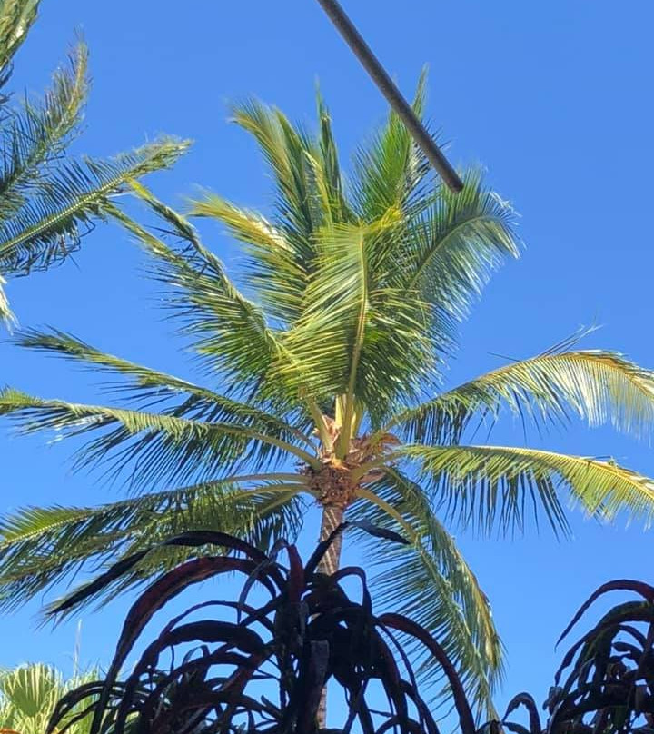 大滩酒店住宿-Hotel El Manglar