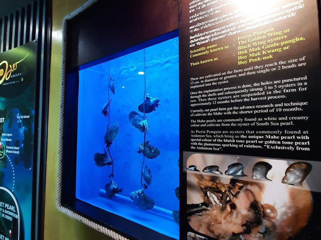 普吉岛珍珠养殖场-莆缴必去景点