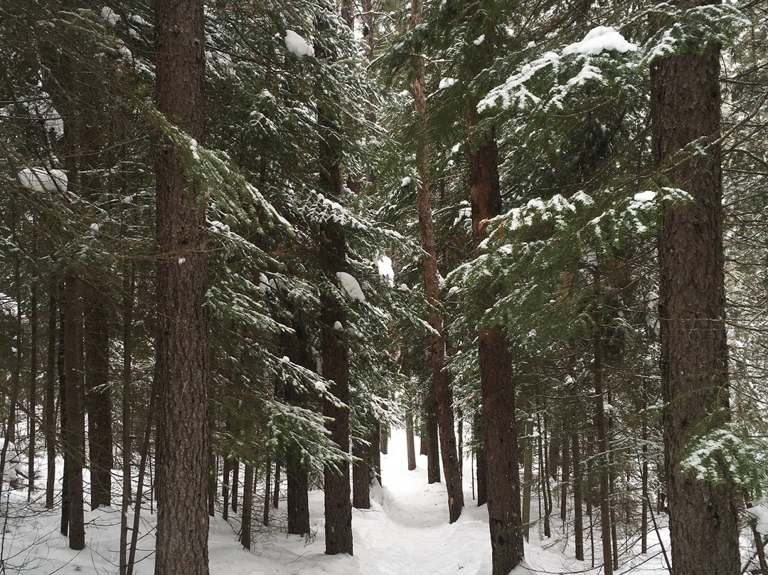 Hersey Lake Conservation Area-Timmins必去景点