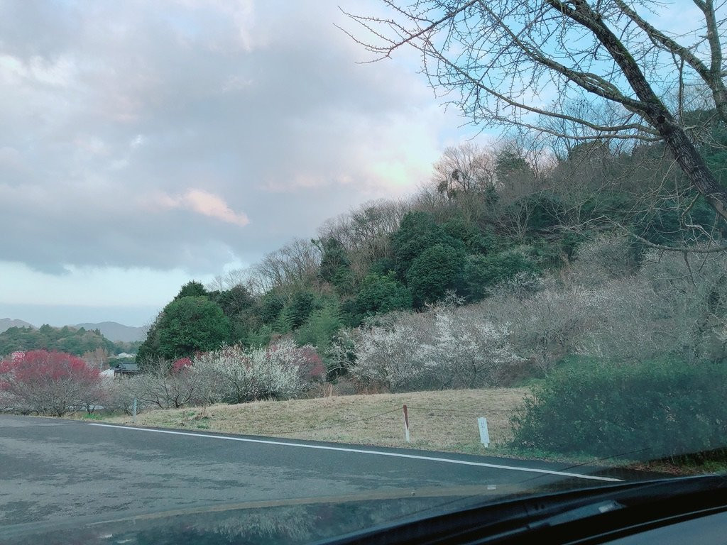 Mifunegaoka Bairin景点图片