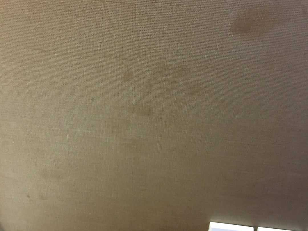 Fortuneland Hotel主图