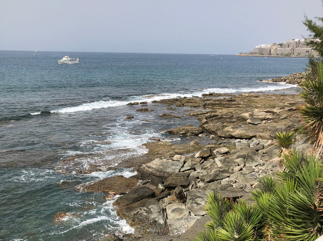 Las Marañuelas Beach景点图片