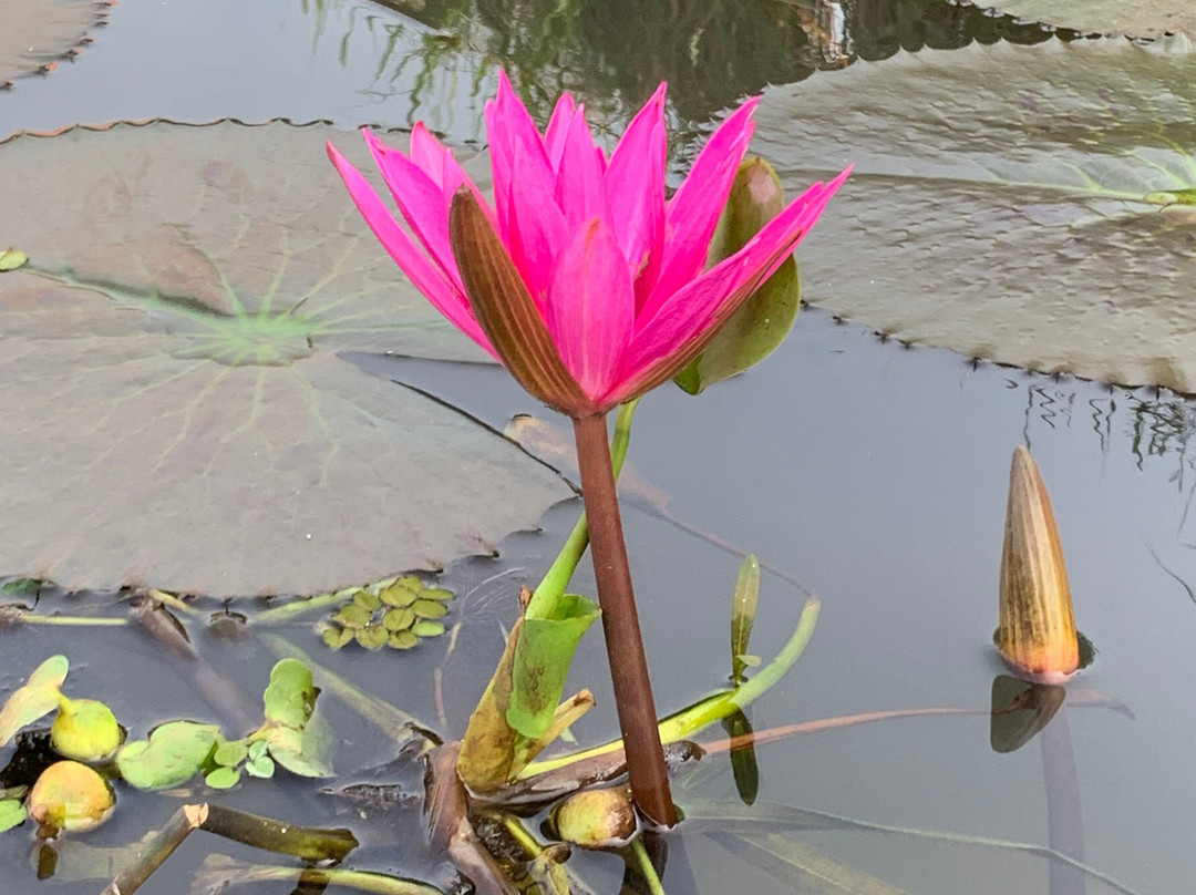 Paloma Backwater Resorts主图