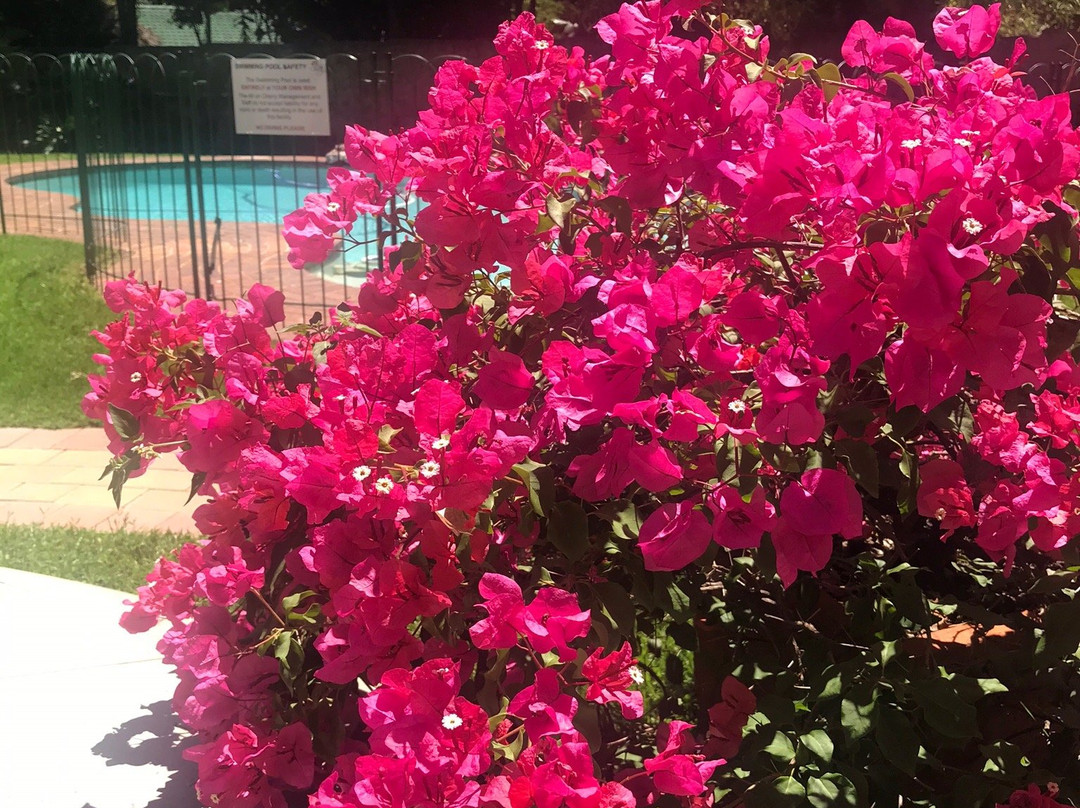 49 On Cherry Guesthouse主图