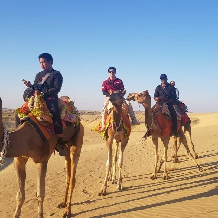 Diamond Camel Safari jaisalmer-杰伊瑟尔梅尔必去景点
