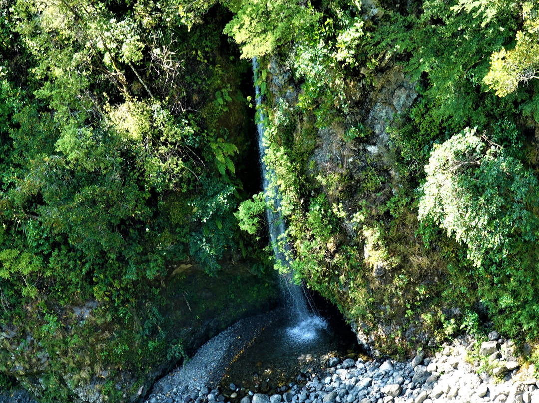 Waiohine Gorge Suspension Bridge景点图片
