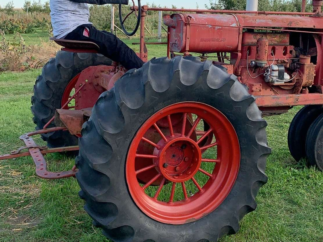 Valley Orchard-Cherry Valley必去景点