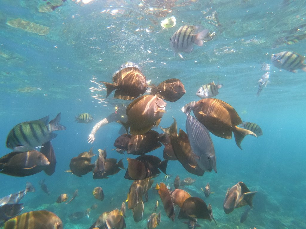 Nusa Penida Journeys-珀尼达岛必去景点