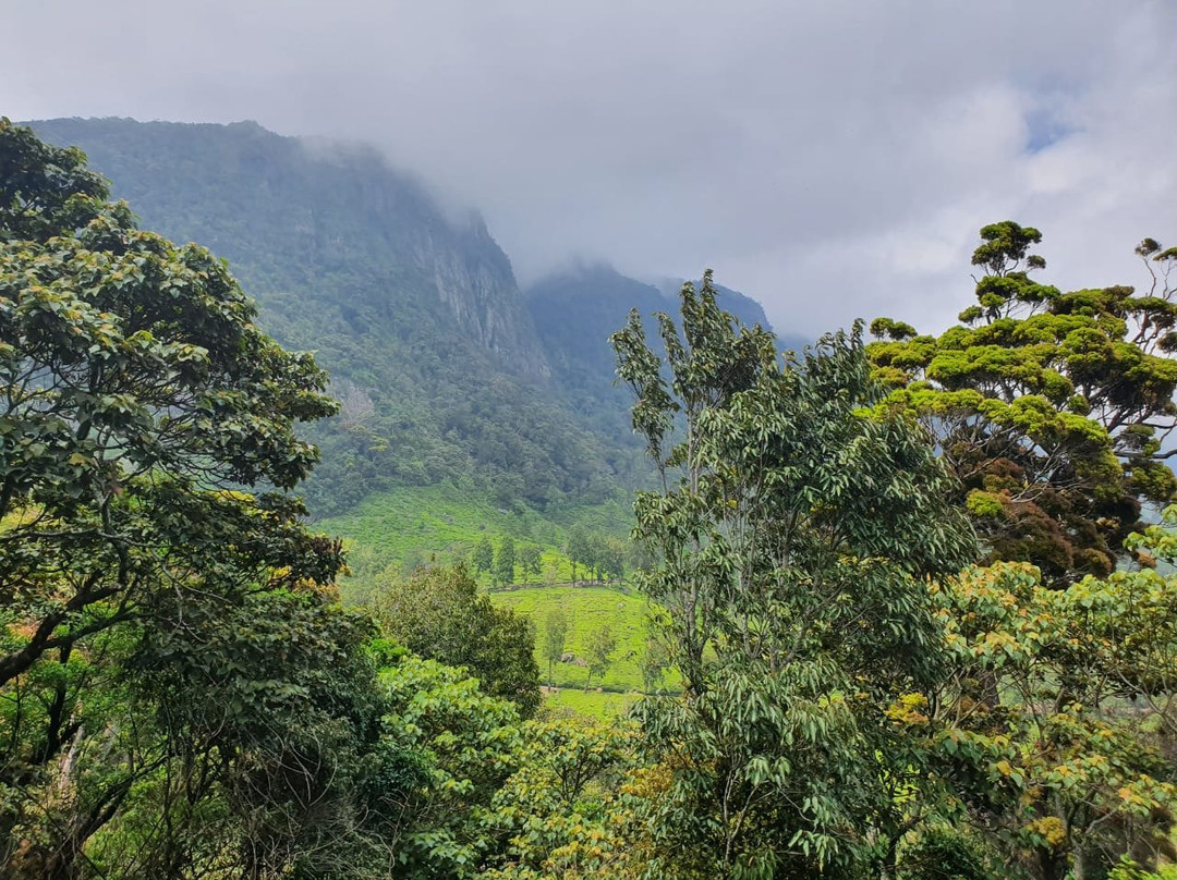 Mandaram Eco Resort主图