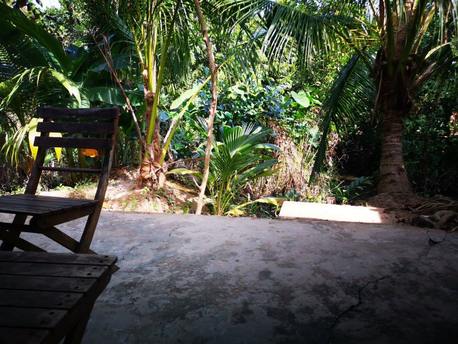 Mekong Family Nam Giang Homestay主图