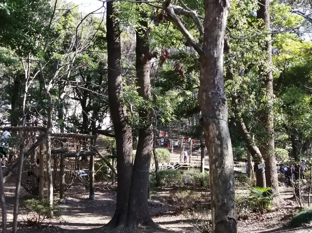 Heiwajima Park-大田区必去景点