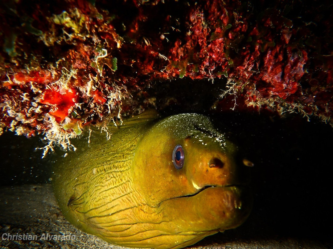 Global Dr Tours-巴瓦罗必去景点