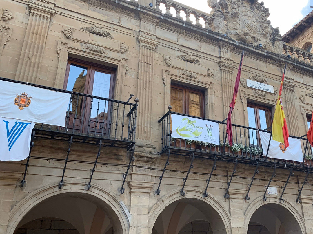 Ayuntamiento de Viana-Viana必去景点