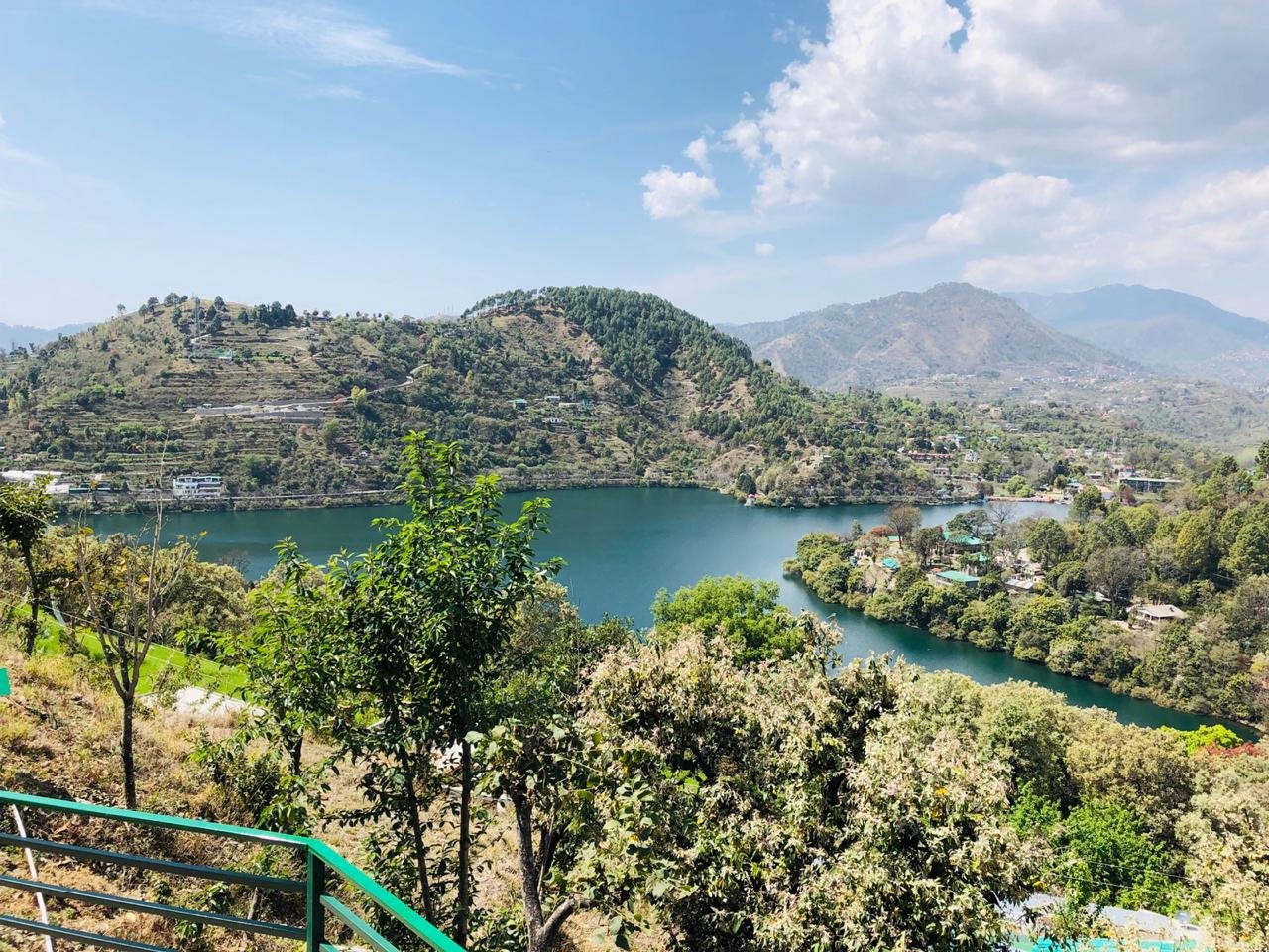 Nest And Hives-官方