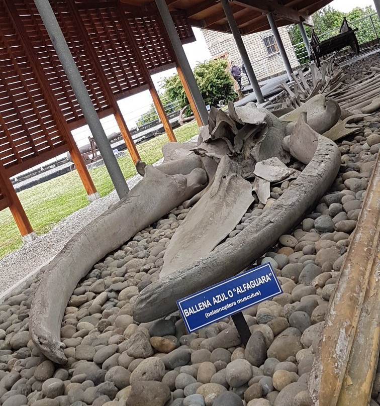 Museo Regional de Ancud-Ancud必去景点