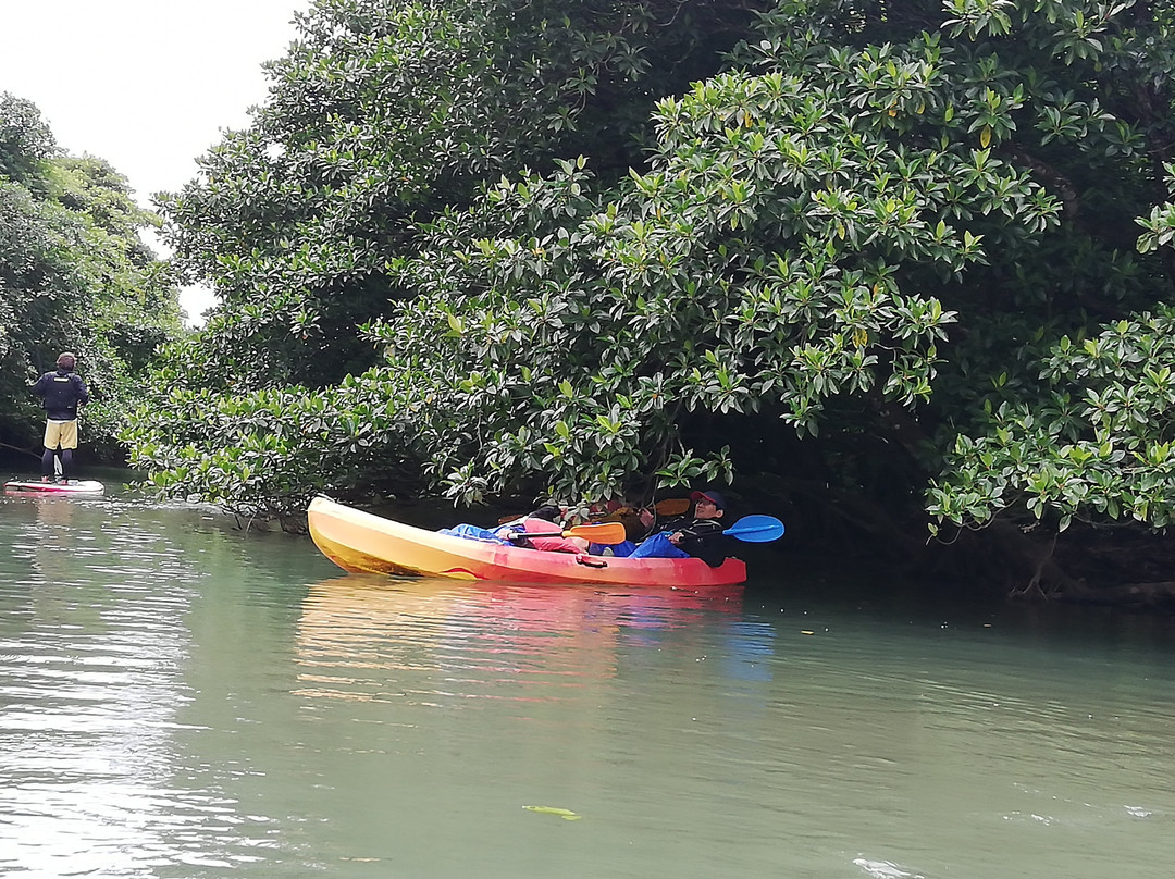 Ishigaki Island Canoeing Tour Lagoon景点图片