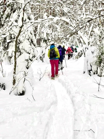 FoRestful-埃斯波必去景点