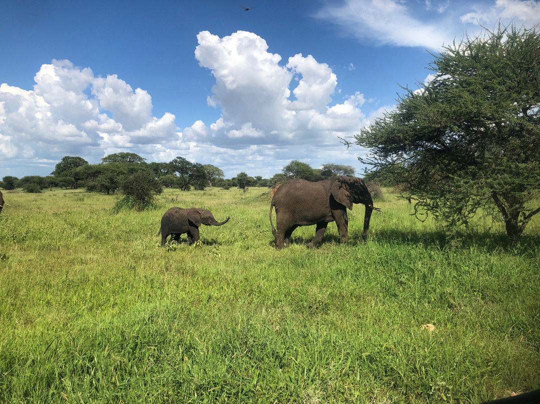 Hello Tanzania景点图片