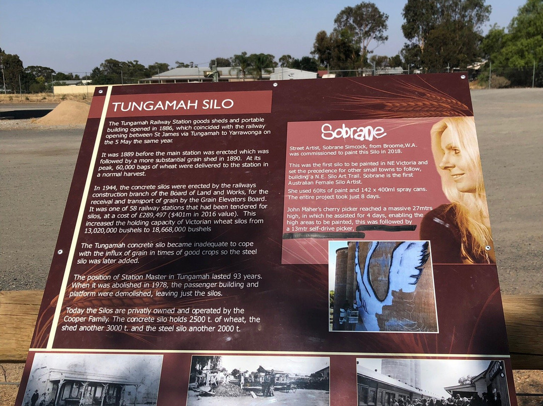 Tungamah Silo Art-Tungamah必去景点