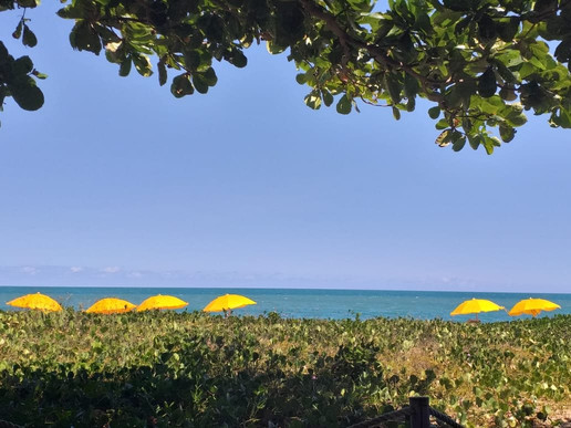 Pousada Vila Araticum Praia主图