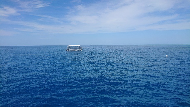 Skedaddle-凯恩斯必去景点