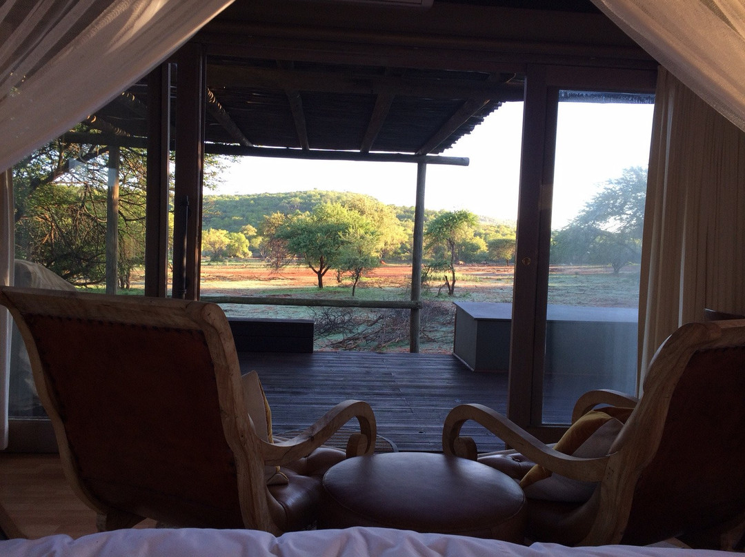 丁斯瓦洛野生动物园主图