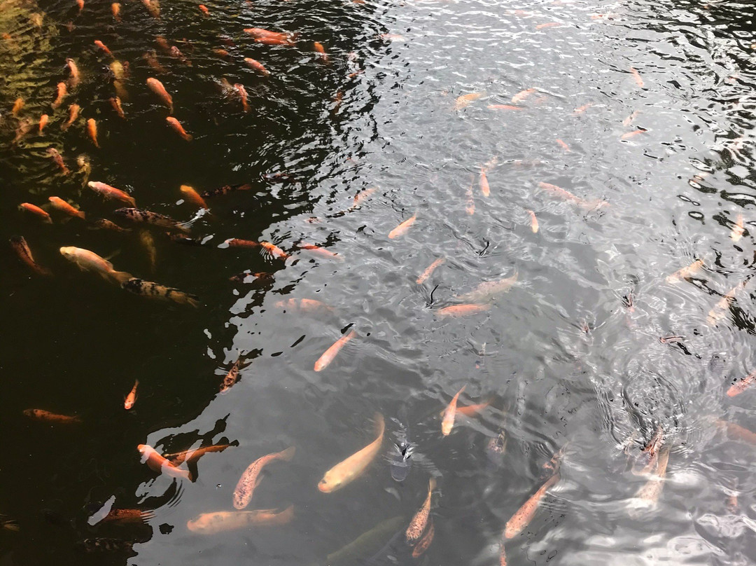 Isdaan Village-丹辘必去景点