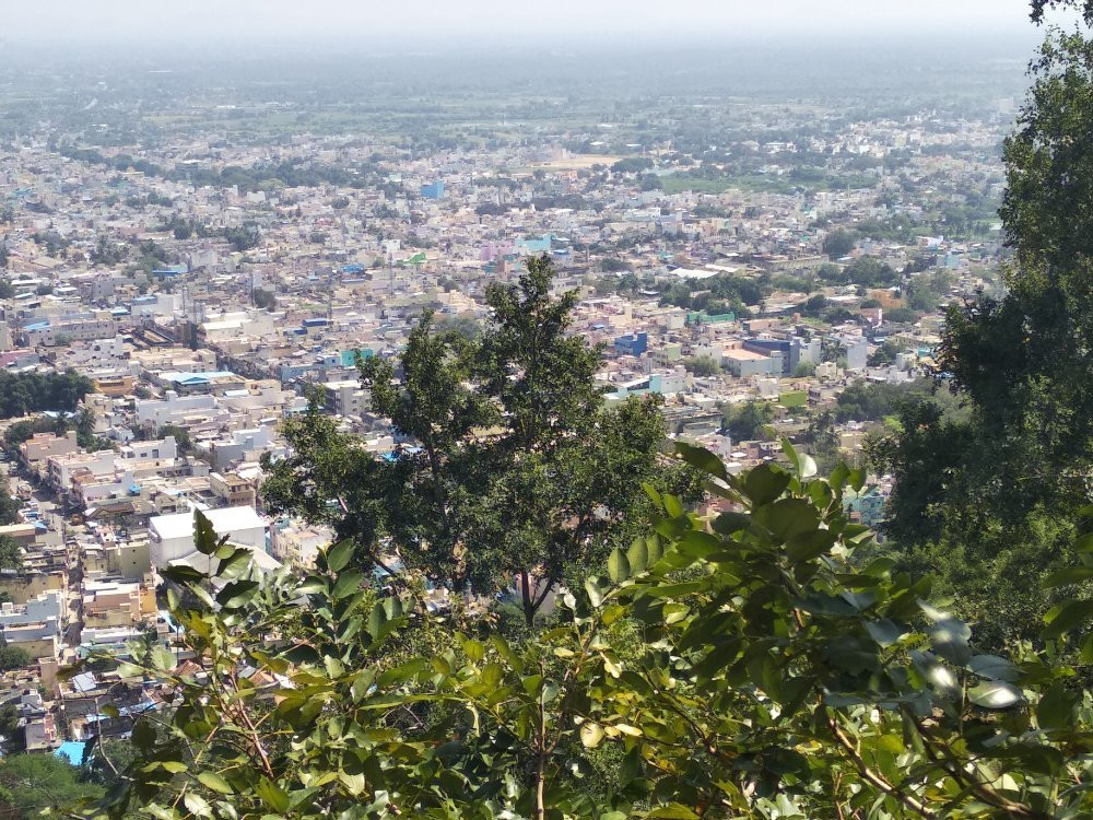 Annamalaiyar Temple View Point景点图片