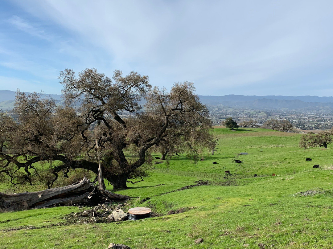 Coyote Lake Harvey Bear Ranch County Park-吉尔罗伊必去景点