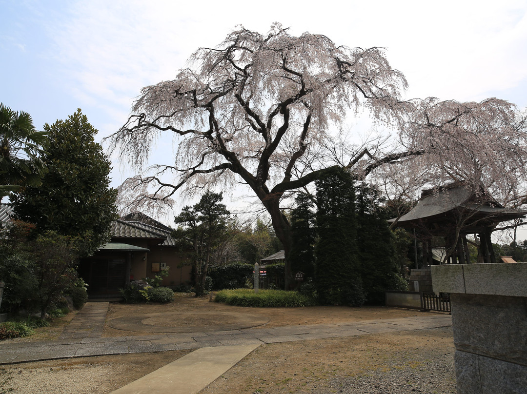 Hozen-Ji Temple