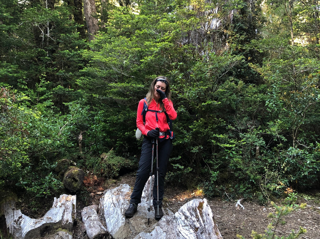 Andes Sur Expediciones-Puyehue必去景点