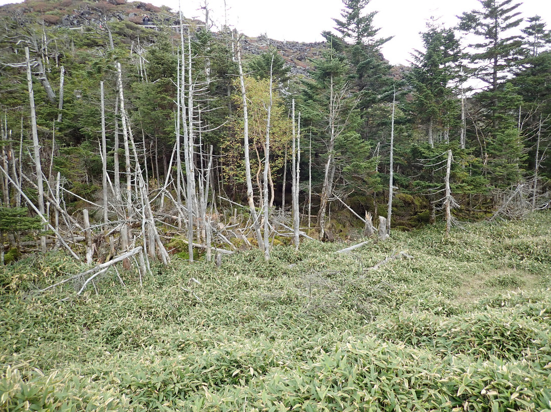 Tsuboniwa Nature Park-茅野市必去景点