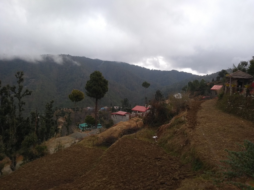 The Nature Walk主图