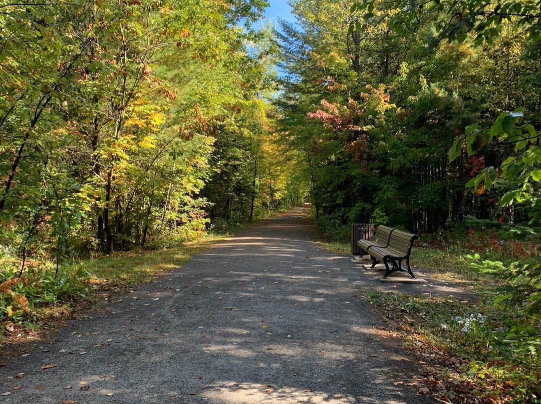 Parc-Nature du Lac Jérôme-Saint Jerome必去景点
