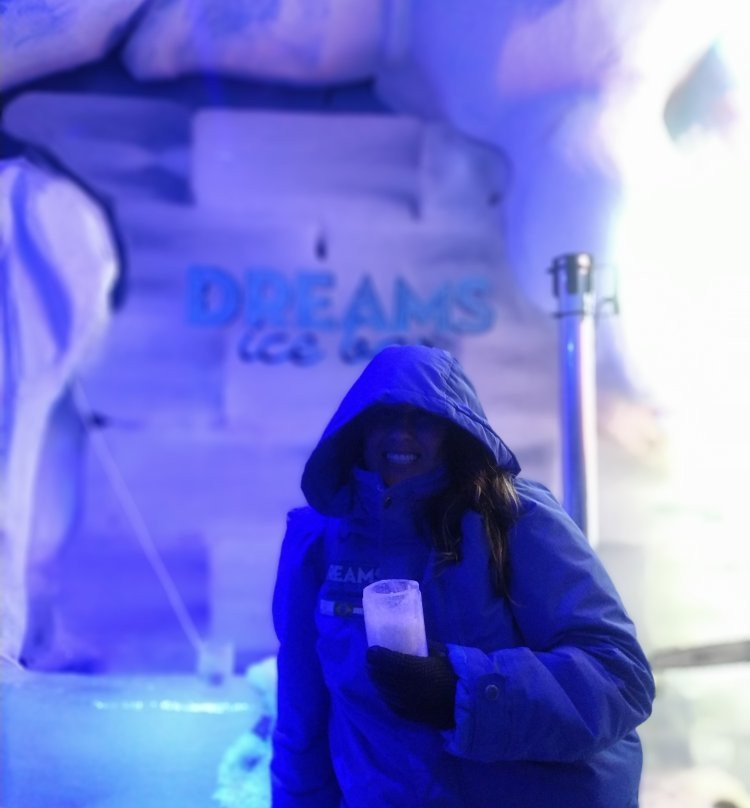 Dreams Ice Bar景点图片