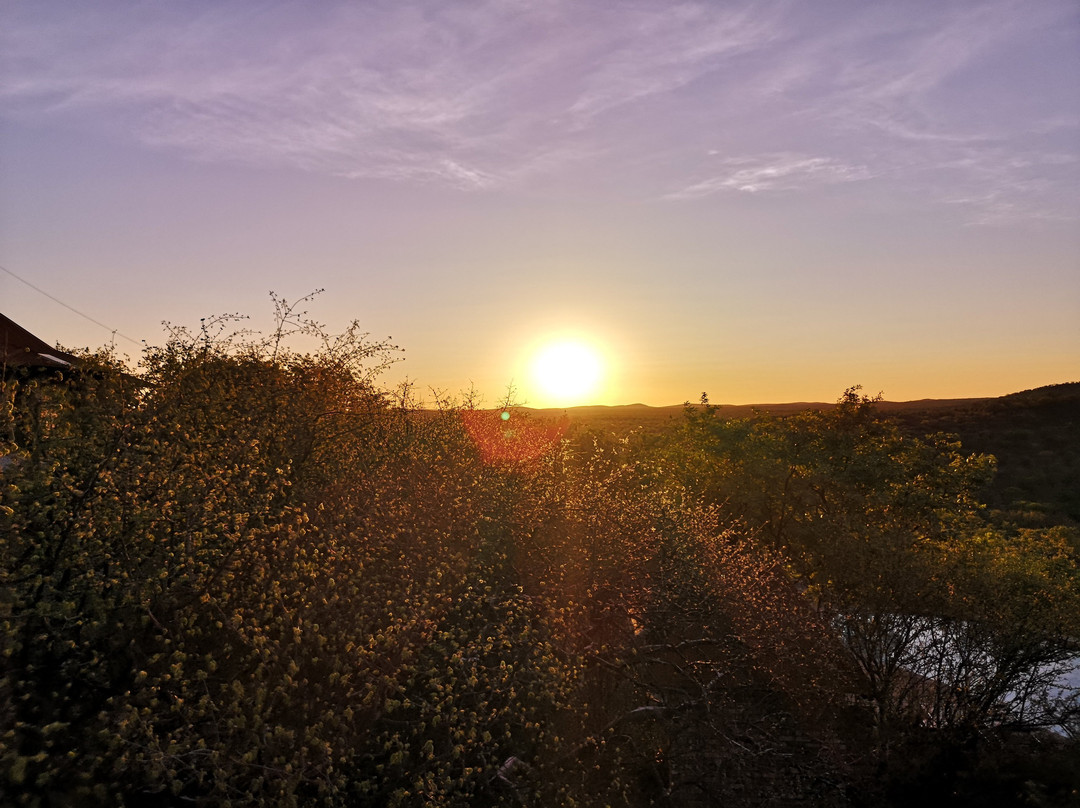 埃托沙乡村酒店主图