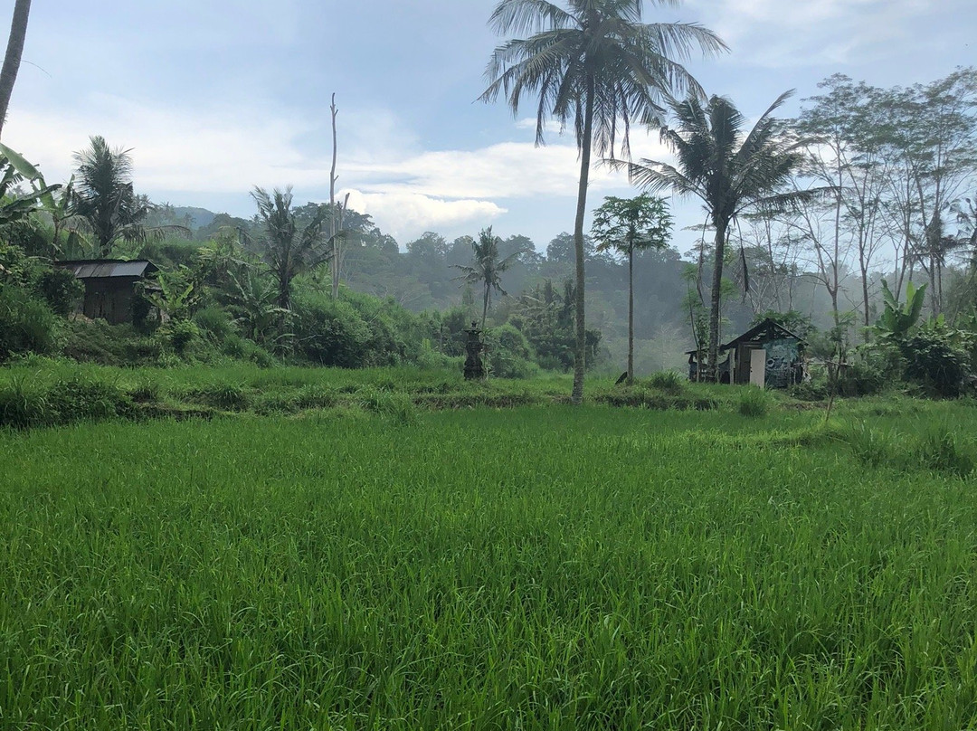 BTR Bali Tubing & Rafting-卡朗阿森必去景点