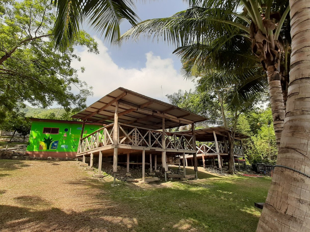 Cocoa Village Guesthouse主图