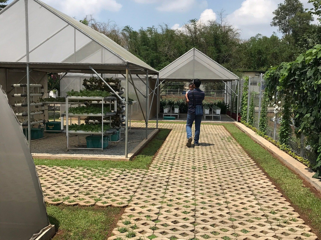 Urban Farming Center景点图片