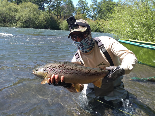 Cunco旅游攻略图片