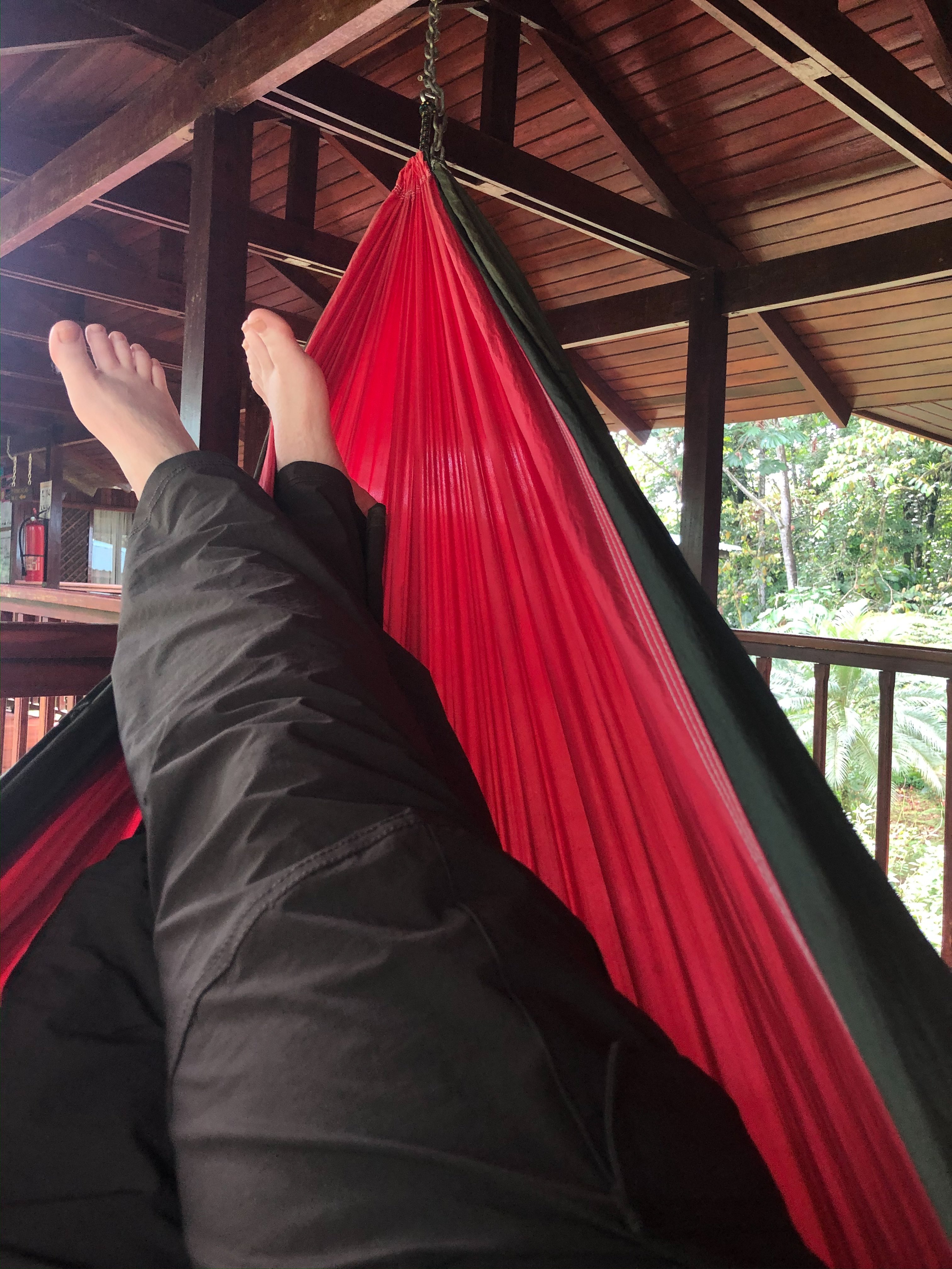 Selva Verde Lodge-酒店景观