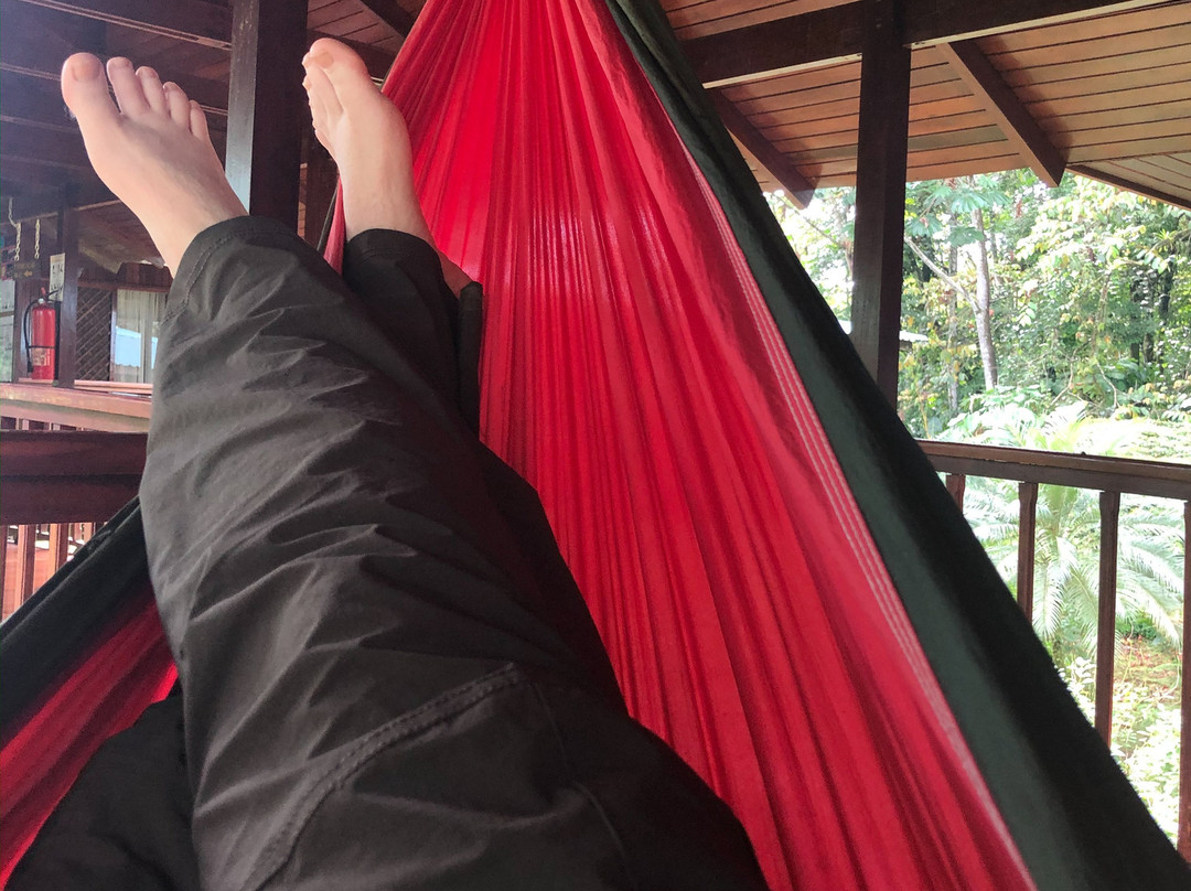 Selva Verde Lodge主图