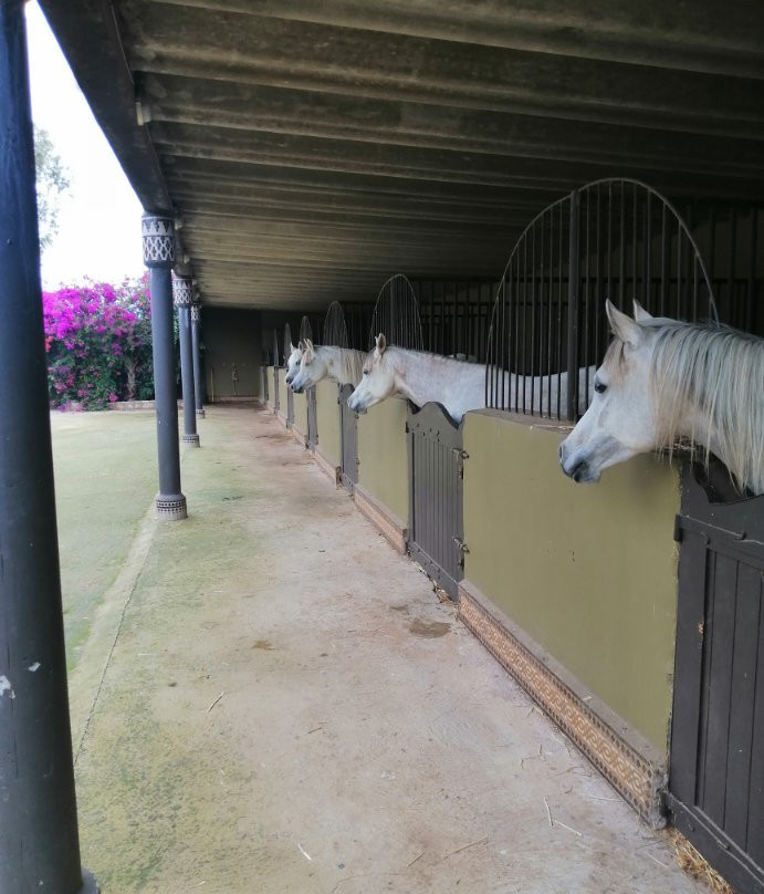 Koheilan Oriental Lodge Farm主图