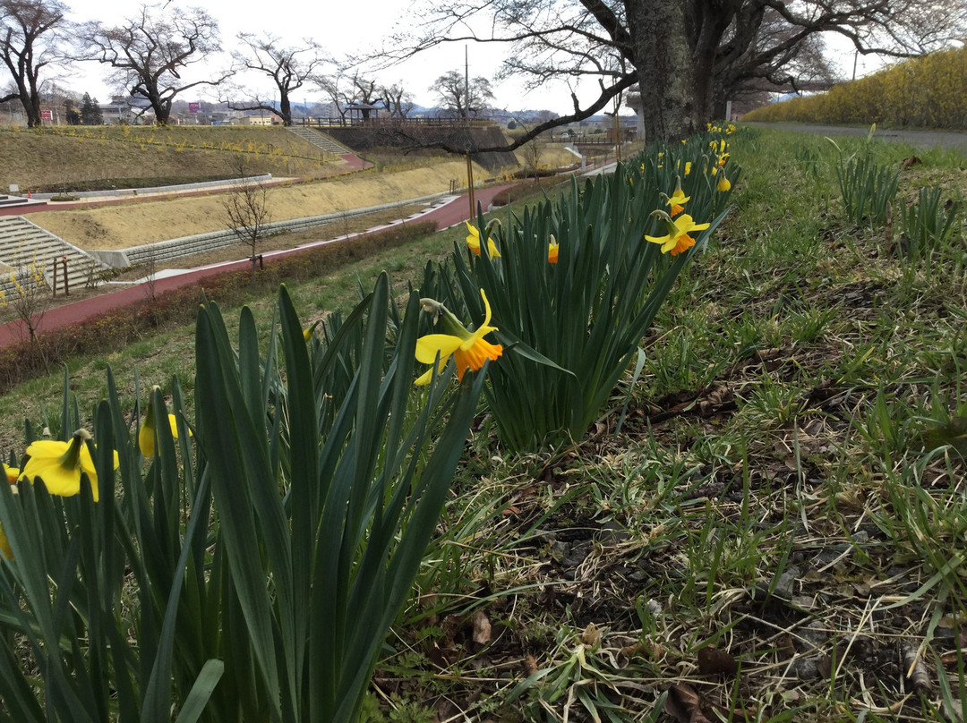 Shiroishigawa Senou Park-柴田町必去景点
