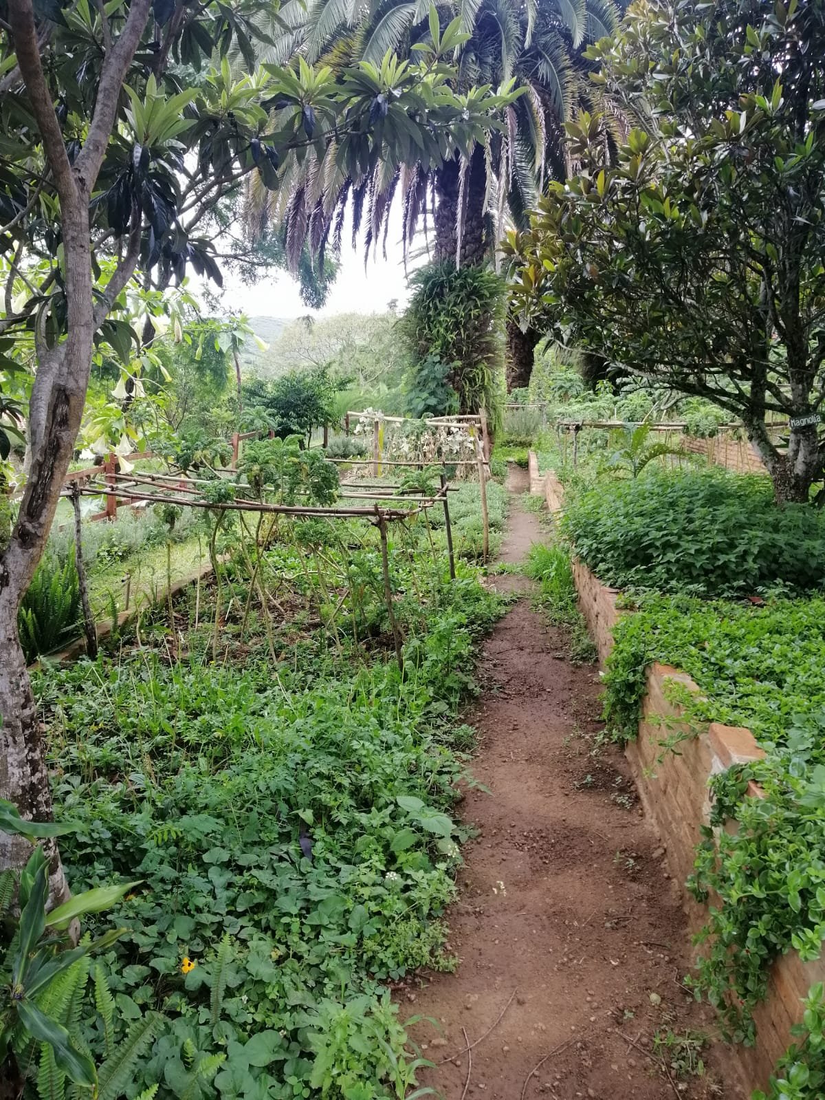 Finca La Vispera-官方