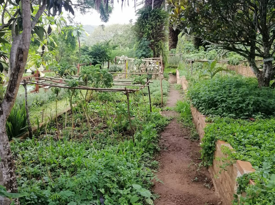 Finca La Vispera主图