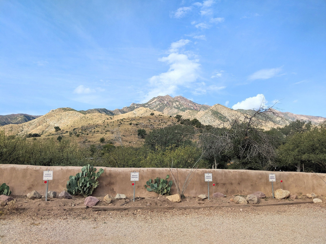 Southeastern Arizona Bird Observatory景点图片