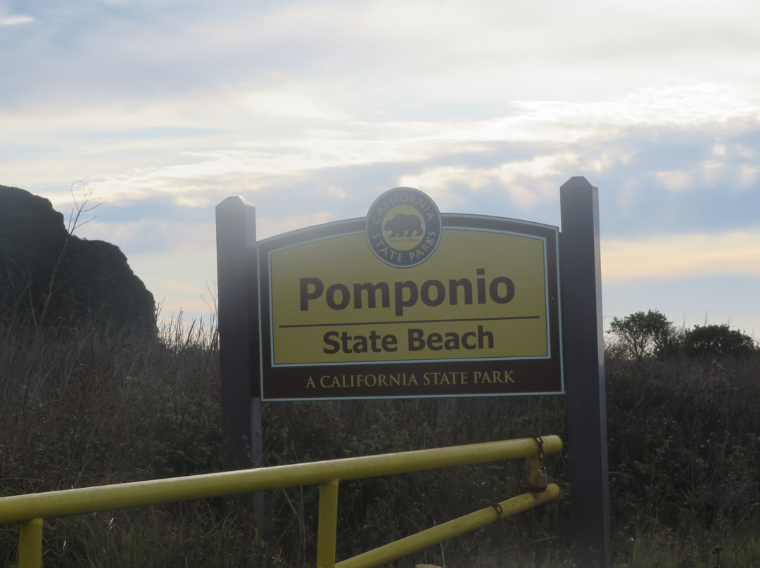 Pomponio State Beach景点图片