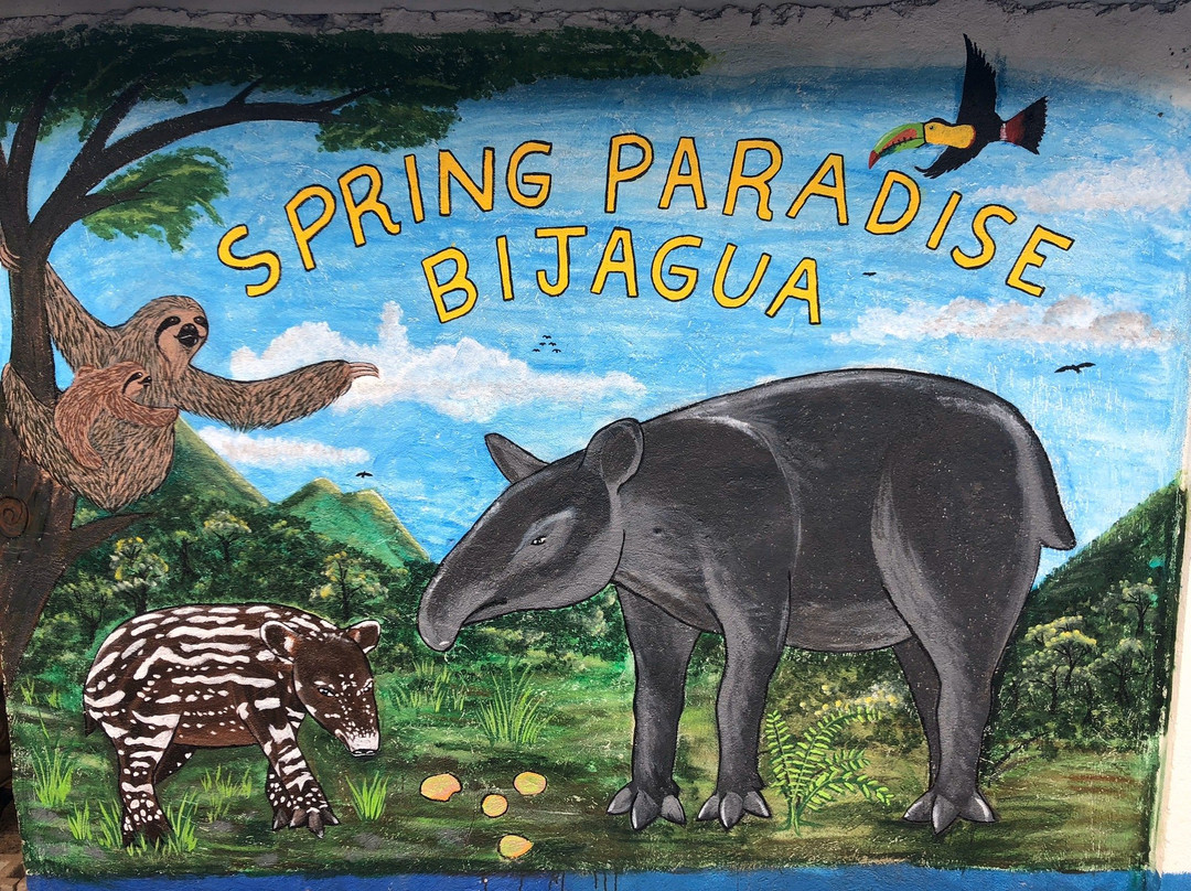 Spring Paradise Bijagua Tours景点图片